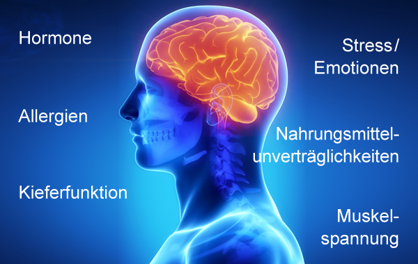 Kopfschmerz-Diagnostik Trinicum