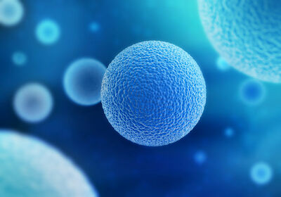 Stem Cell Therapy at Trinicum