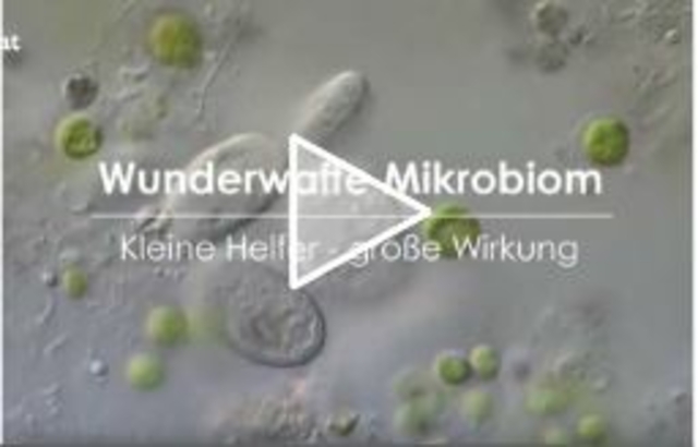 Wunderwaffe Mikrobiom - Kleine Helfer große Wirkung